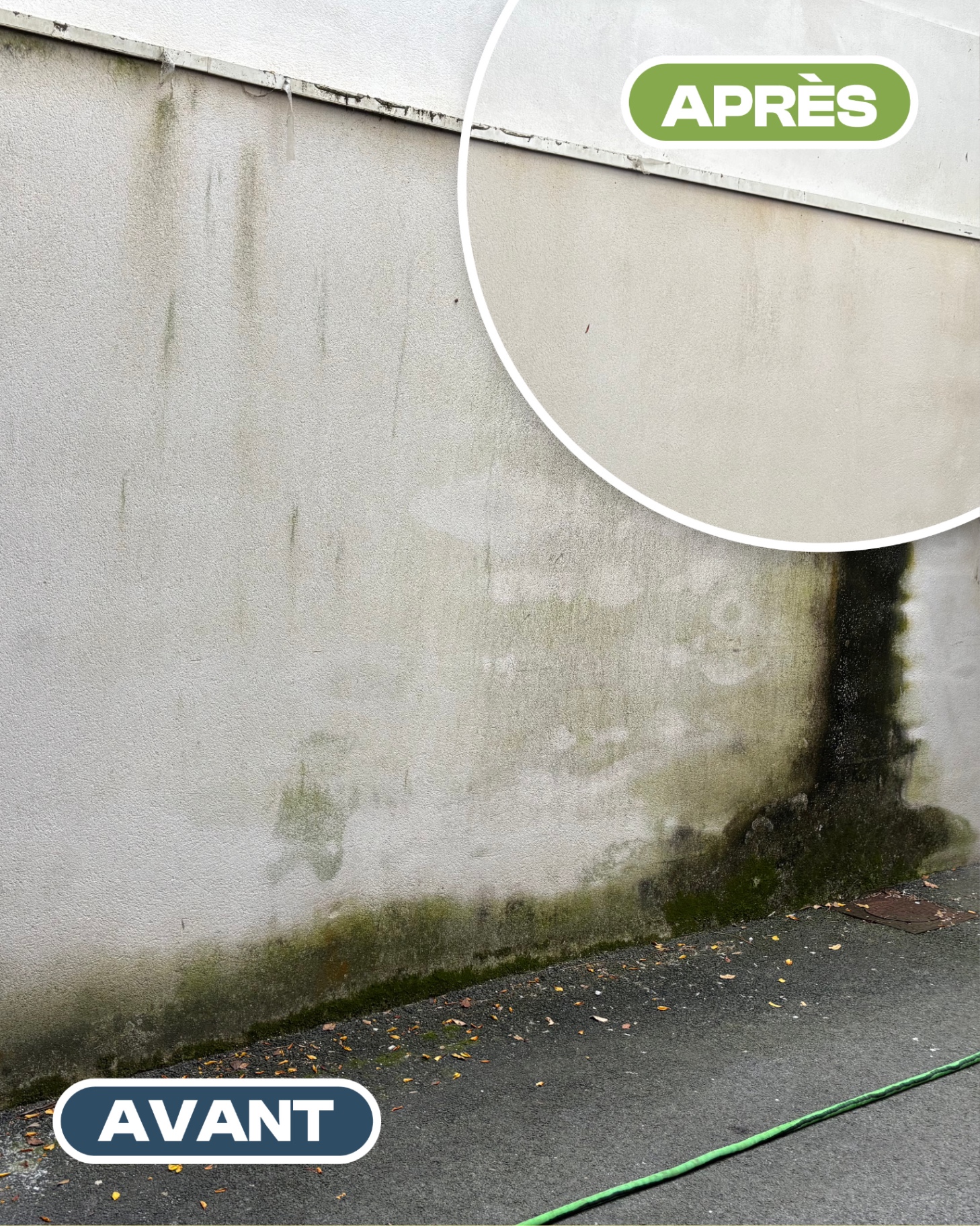 Façade — Mur extérieur — avant après nettoyage par drone